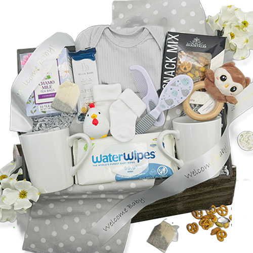 Baby Shower Gift Basket