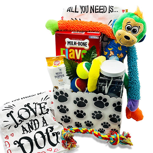 It's a Dogs Life Dog Gift Basket